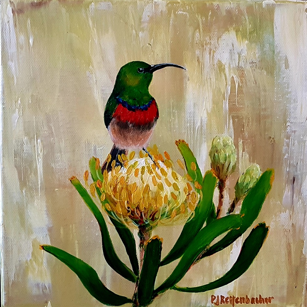 Sunbird 3